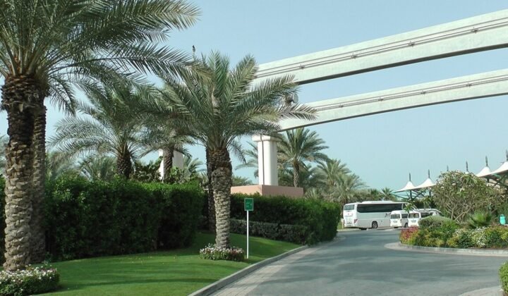 Salary Requirement for UAE Free Zone Visa: A Complete Guide for Professionals