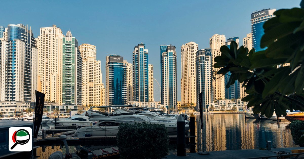 DMCC vs IFZA vs Meydan: Which Free Zone Fits Which Business?