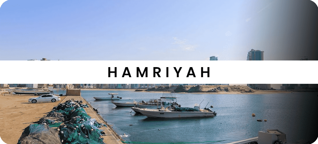 Hamriyah Free Zone Setup 2026 | Sharjah Heavy Industry